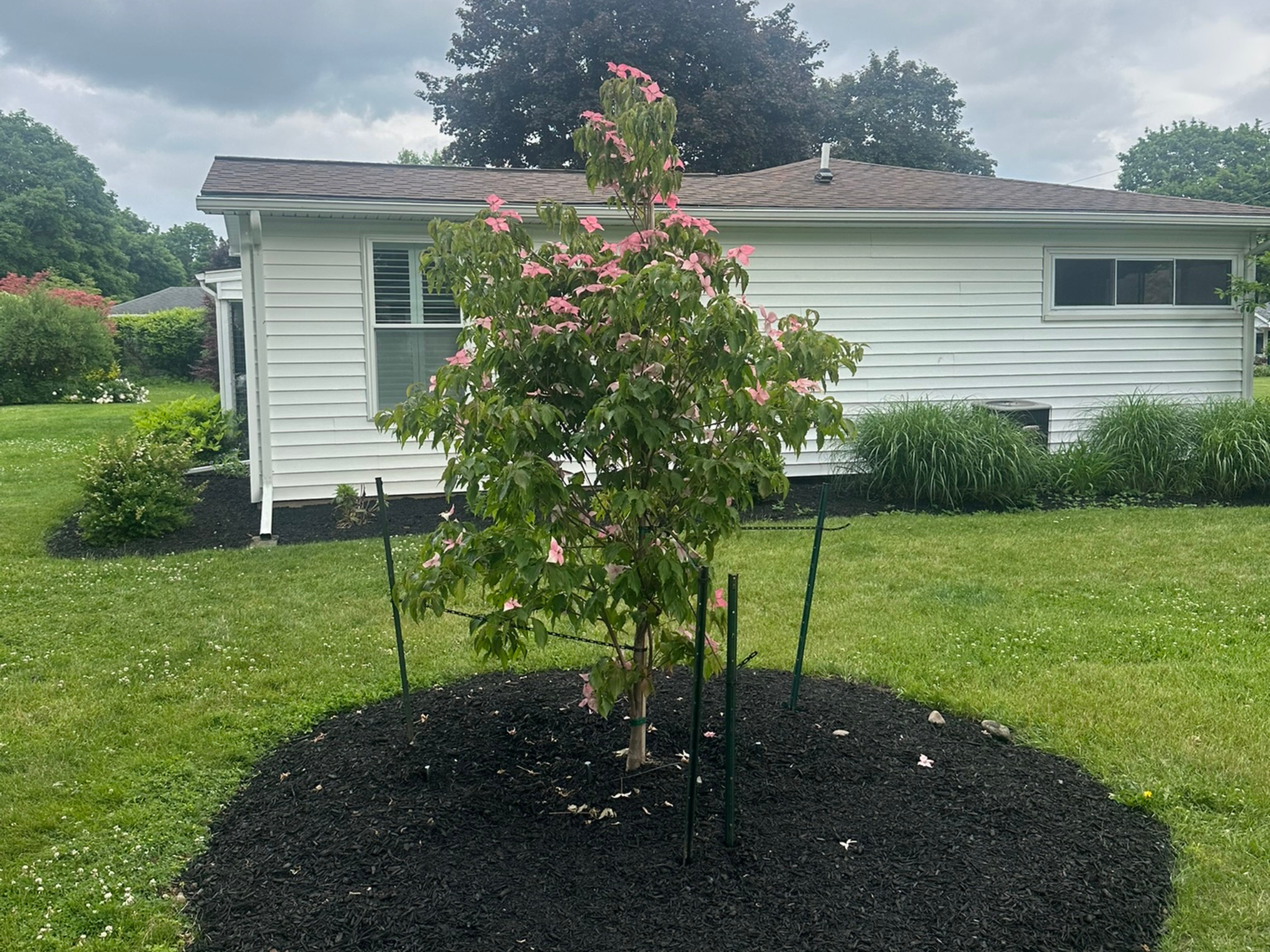 Flower Planting White House